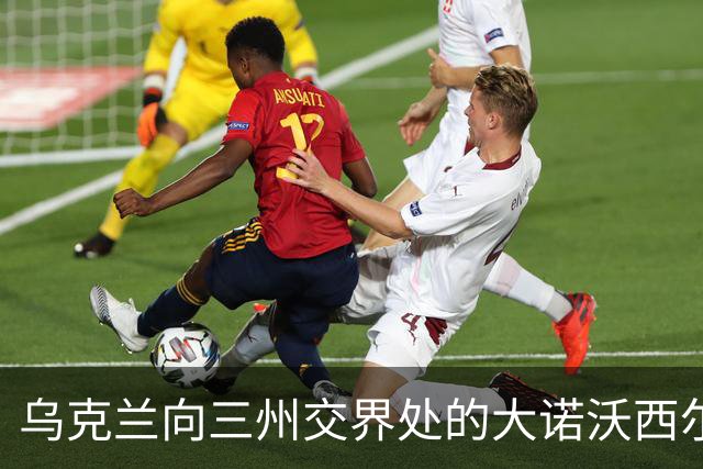 乌克兰向三州交界处的大诺沃西尔卡推进！夺取小迪布罗瓦