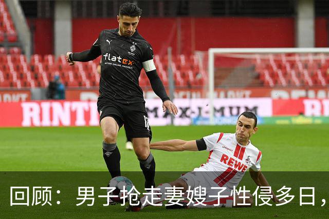 回顾：男子抢走妻嫂子性侵多日，还拍裸照！6旬岳父怒杀男子